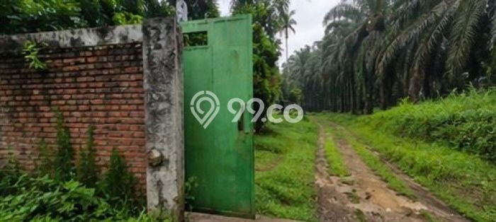 Tanah di Ranca Bungur, Bogor Luas 32827m2 Dijual Segera Tanah di Ranca Bungur, Bogor Luas 32827m2 Dijual Segera