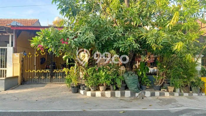 Dijual Rumah 3 Kamar Lokasi Strategis Bagus dan Strategis di Rungkut Dijual Rumah 3 Kamar Lokasi Strategis Bagus dan Strategis di Rungkut