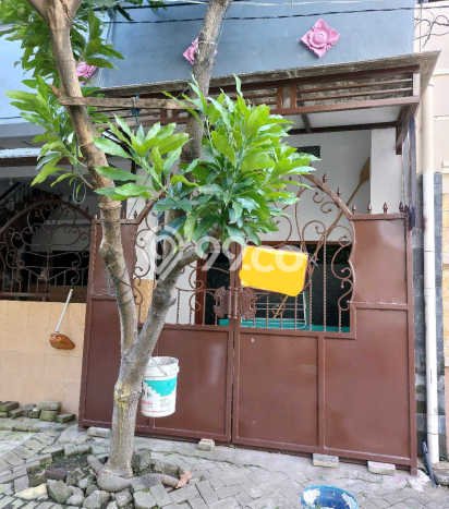 Rumah Luas Asri 5 KT Siap Pakai di Gununganyar Surabaya Rumah Luas Asri 5 KT Siap Pakai di Gununganyar Surabaya