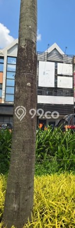 Paling Diincar! Ruko Dijual di Gading Serpong Harga Kompetitif Paling Diincar! Ruko Dijual di Gading Serpong Harga Kompetitif