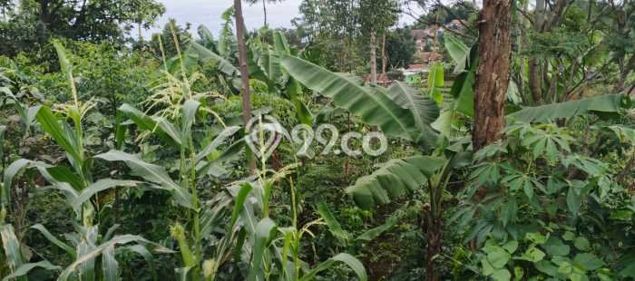 Kavling Tanah Dijual di Banjaran Bandung Spesifikasi 622m2 Kavling Tanah Dijual di Banjaran Bandung Spesifikasi 622m2