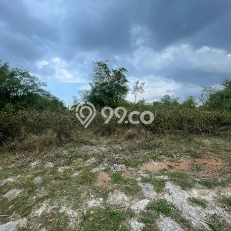 Kavling Tanah Dijual di Wuryantoro Wonogiri Spesifikasi 50966m2 Kavling Tanah Dijual di Wuryantoro Wonogiri Spesifikasi 50966m2