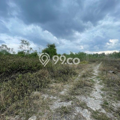 Kavling Tanah Dijual di Wuryantoro Wonogiri Spesifikasi 50966m2 Kavling Tanah Dijual di Wuryantoro Wonogiri Spesifikasi 50966m2