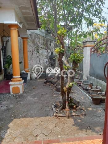 Rumah Luxury Modern Siap Huni di Polehan Malang Rumah Luxury Modern Siap Huni di Polehan Malang