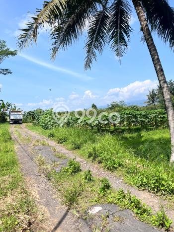 Jarang Ada! Tanah di Minggir Punya Luas 117m2 SHM Jarang Ada! Tanah di Minggir Punya Luas 117m2 SHM