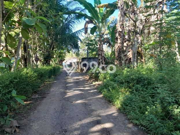 Kavling Tanah di Kalibawang Dijual Luas 750m2 Legalitas SHM Kavling Tanah di Kalibawang Dijual Luas 750m2 Legalitas SHM