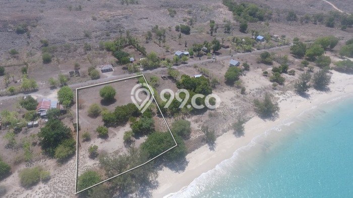 Tanah di Umbu Ratu Nggay, Sumba Tengah Luas 2761m2 Dijual Segera Tanah di Umbu Ratu Nggay, Sumba Tengah Luas 2761m2 Dijual Segera