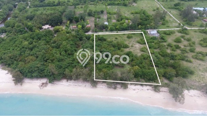 Jarang Ada! Tanah di Umbu Ratu Nggay Punya Luas 4000m2 SHM Jarang Ada! Tanah di Umbu Ratu Nggay Punya Luas 4000m2 SHM