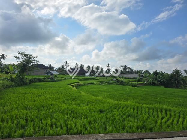 KESEMPATAN EMAS! Vila Kawasan , Luas 1500m2m², Area Potensial dengan prospek naik KESEMPATAN EMAS! Vila Kawasan , Luas 1500m2m², Area Potensial dengan prospek naik