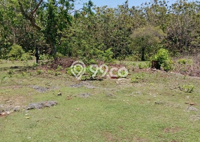 Tanah Dijual Area Strategis di Balangan Badung 1430m2 Tanah Dijual Area Strategis di Balangan Badung 1430m2