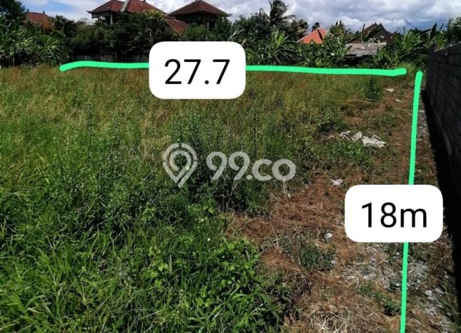 Untuk Dijual Tanah di Ubud Gianyar Luas 500m2 Hak Sewa Untuk Dijual Tanah di Ubud Gianyar Luas 500m2 Hak Sewa