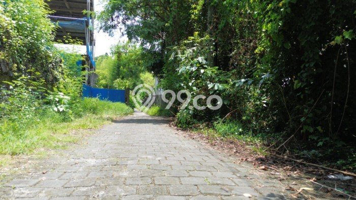 Tanah Kavling Dijual di Umalas, Badung dengan Luas Tanah 2484m2 Tanah Kavling Dijual di Umalas, Badung dengan Luas Tanah 2484m2