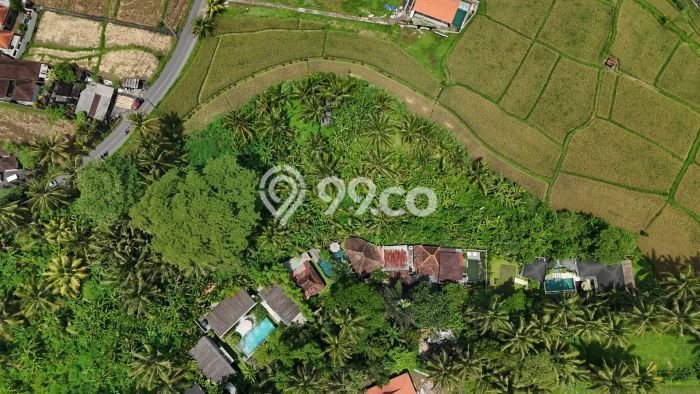 Kavling Tanah di Ubud Dijual Luas 5600m2 Legalitas Hak Sewa Kavling Tanah di Ubud Dijual Luas 5600m2 Legalitas Hak Sewa