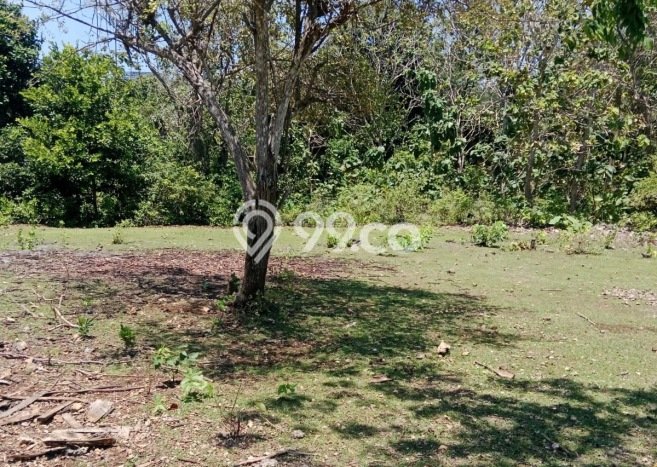 Tanah Dijual Area Strategis di Balangan Badung 1430m2 Tanah Dijual Area Strategis di Balangan Badung 1430m2
