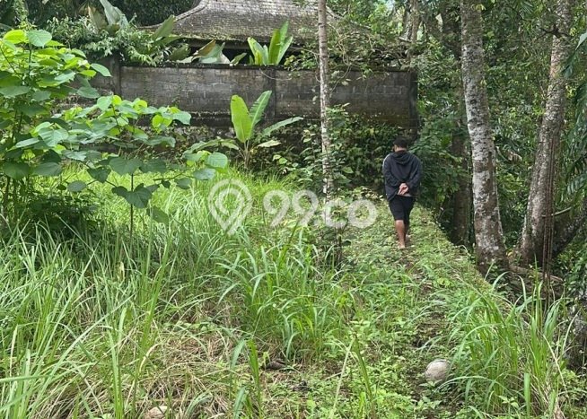 Tanah Kavling di Ubud Dijual dengan Luas 1495m2 Tanah Kavling di Ubud Dijual dengan Luas 1495m2