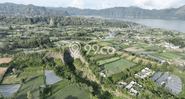 Tanah di Kintamani, Bangli Luas 11300m2 Dijual Segera Tanah di Kintamani, Bangli Luas 11300m2 Dijual Segera