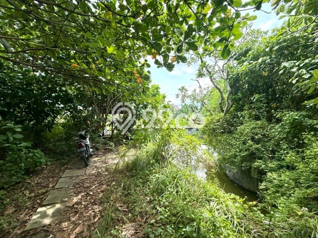 Tanah Kavling Dijual di Umalas, Badung dengan Luas Tanah 1300m2 Tanah Kavling Dijual di Umalas, Badung dengan Luas Tanah 1300m2