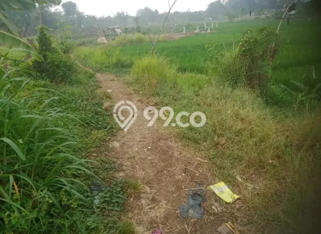 Tanah Strategis Dijual di Cibitung Bekasi 15000m2 Tanah Strategis Dijual di Cibitung Bekasi 15000m2