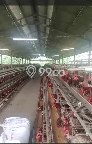 Lahan Kosong Dijual di Bogor dengan Area 110000m2 Lahan Kosong Dijual di Bogor dengan Area 110000m2