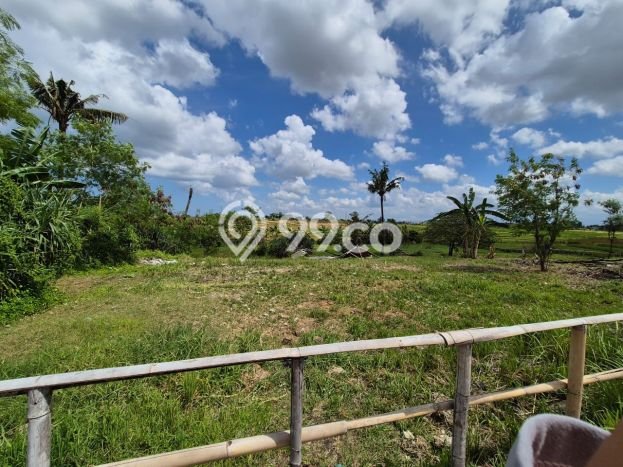 Tanah Dijual Area Strategis di Beraban Tabanan 3590m2 Tanah Dijual Area Strategis di Beraban Tabanan 3590m2