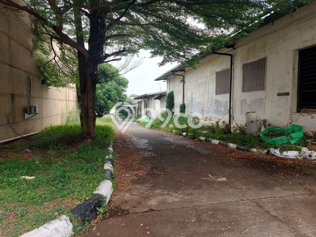 Tanah di Subang, Subang Luas 116000m2 Dijual Segera Tanah di Subang, Subang Luas 116000m2 Dijual Segera