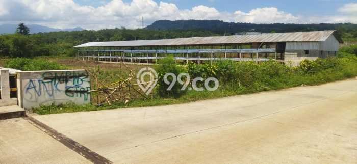 Tanah Dijual Lokasi Citeureup, Bogor dengan Luas Tanah 5000m2 dan Status SHM Tanah Dijual Lokasi Citeureup, Bogor dengan Luas Tanah 5000m2 dan Status SHM