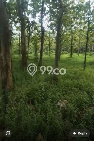 Kavling Tanah di Jambe Dijual Luas 61000m2 Legalitas SHM Kavling Tanah di Jambe Dijual Luas 61000m2 Legalitas SHM