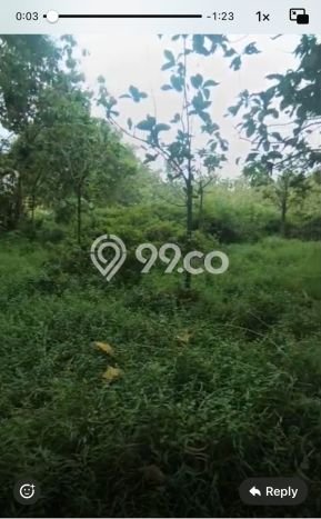 Kavling Tanah di Jambe Dijual Luas 61000m2 Legalitas SHM Kavling Tanah di Jambe Dijual Luas 61000m2 Legalitas SHM