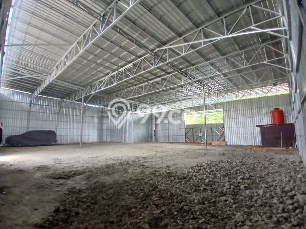 Disewakan Ruko Bisnis di Sungai Kunjang Samarinda Harga Sewa Menarik Bisa Nego Disewakan Ruko Bisnis di Sungai Kunjang Samarinda Harga Sewa Menarik Bisa Nego