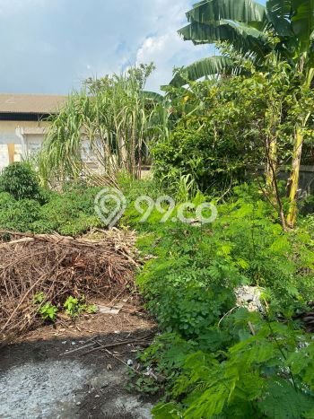 Tanah Disewa di Kapuk Kamal Strategis dan Memiliki Luas 2276m2 Tanah Disewa di Kapuk Kamal Strategis dan Memiliki Luas 2276m2