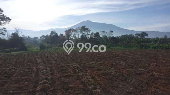Tanah Dijual Lokasi Cigombong, Bogor Luas 300m2 Legalitas Aman Tanah Dijual Lokasi Cigombong, Bogor Luas 300m2 Legalitas Aman