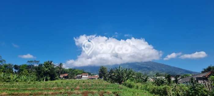Tanah Dijual Lokasi Cigombong, Bogor Luas 300m2 Legalitas Aman Tanah Dijual Lokasi Cigombong, Bogor Luas 300m2 Legalitas Aman