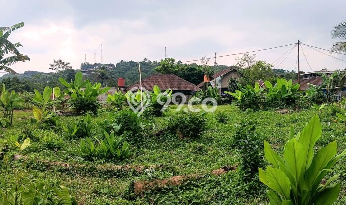 Dijual Tanah di Cibadak Sukabumi Luas 120m2 AJB Dijual Tanah di Cibadak Sukabumi Luas 120m2 AJB