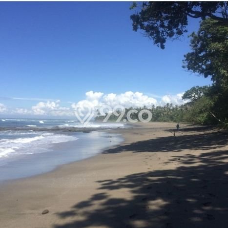 Untuk Dijual Tanah di Pekutatan Jembrana Luas 37000m2 - Untuk Dijual Tanah di Pekutatan Jembrana Luas 37000m2 -