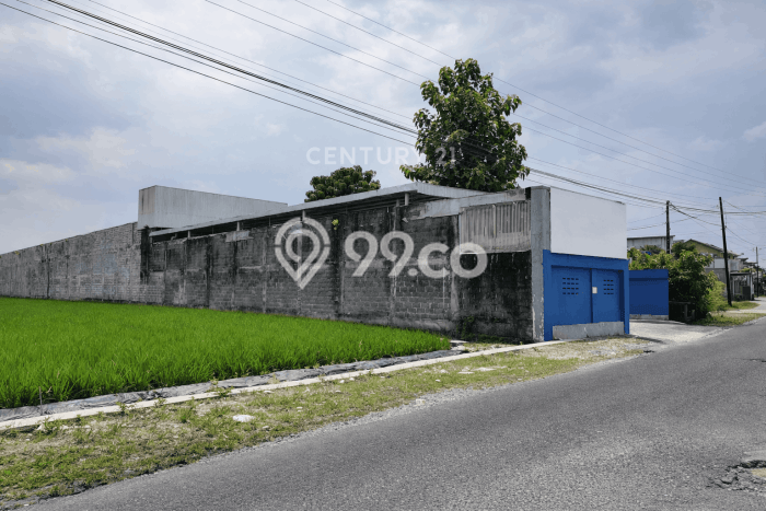 Gudang untuk disewa di Kasihan punya LT 1600m2 & LB 1400m2 harga sewa kompetitif Gudang untuk disewa di Kasihan punya LT 1600m2 & LB 1400m2 harga sewa kompetitif