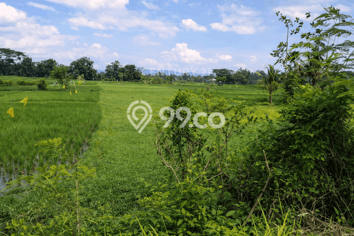 Disewakan Tanah di Yogyakarta, Luas 814m2 Area Berkembang Disewakan Tanah di Yogyakarta, Luas 814m2 Area Berkembang