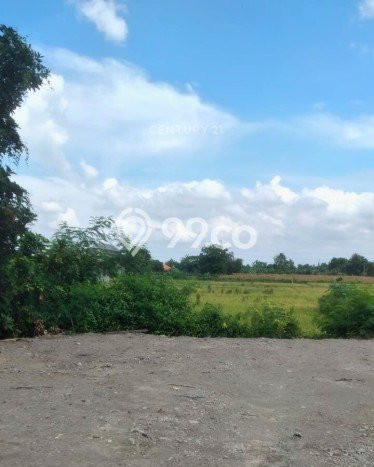 Tanah untuk Disewa di Yogyakarta Luas 2639m2 Tanah untuk Disewa di Yogyakarta Luas 2639m2