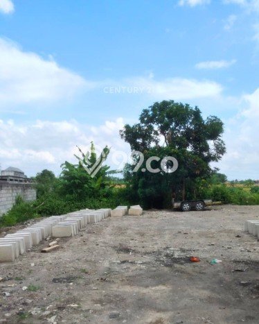 Tanah untuk Disewa di Yogyakarta Luas 2639m2 Tanah untuk Disewa di Yogyakarta Luas 2639m2