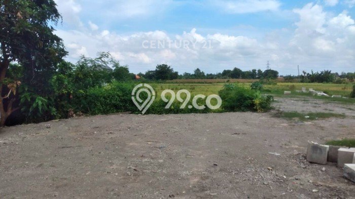 Tanah untuk Disewa di Yogyakarta Luas 2639m2 Tanah untuk Disewa di Yogyakarta Luas 2639m2