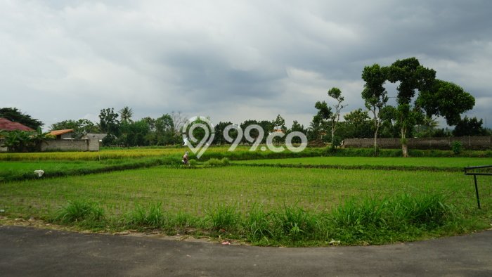 Kavling Tanah Dijual di Kalasan, Sleman, Luas 99m2 Area Strategis Kavling Tanah Dijual di Kalasan, Sleman, Luas 99m2 Area Strategis