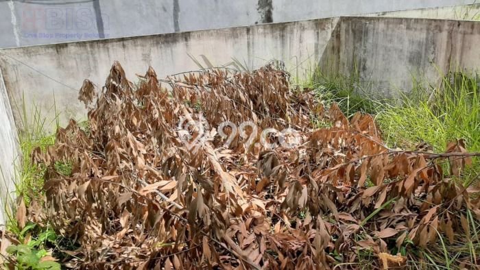 Ruko Bagus Dijual LB 31m2 Lokasi Strategis Batam Area Cocok untuk Bisnis Ruko Bagus Dijual LB 31m2 Lokasi Strategis Batam Area Cocok untuk Bisnis