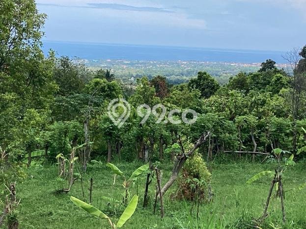 Kavling Tanah untuk Dijual di Lovina, Buleleng, Luas 500m2 Kavling Tanah untuk Dijual di Lovina, Buleleng, Luas 500m2