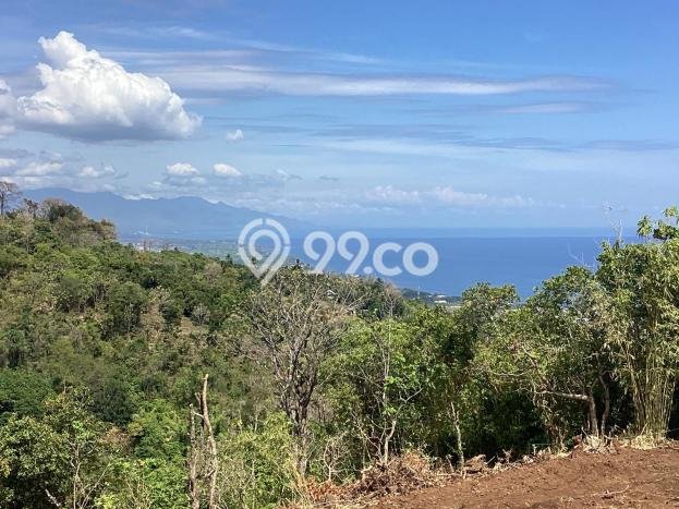 Tanah Dijual Area Strategis di Tigawasa Buleleng 5265m2 Tanah Dijual Area Strategis di Tigawasa Buleleng 5265m2