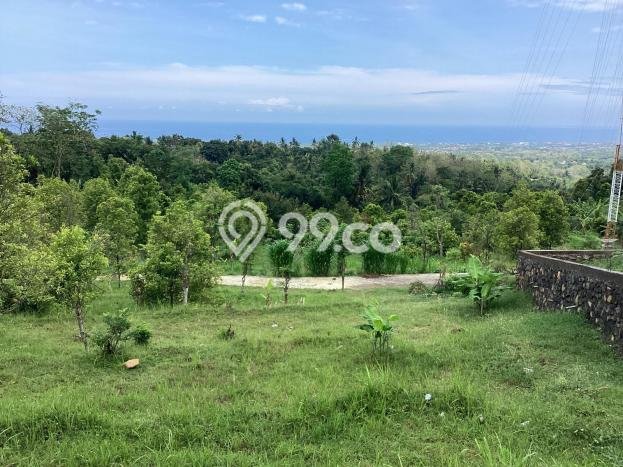 Kavling Tanah untuk Dijual di Lovina, Buleleng, Luas 500m2 Kavling Tanah untuk Dijual di Lovina, Buleleng, Luas 500m2