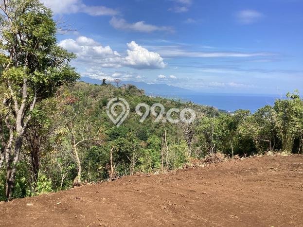 Tanah Dijual Area Strategis di Tigawasa Buleleng 5265m2 Tanah Dijual Area Strategis di Tigawasa Buleleng 5265m2