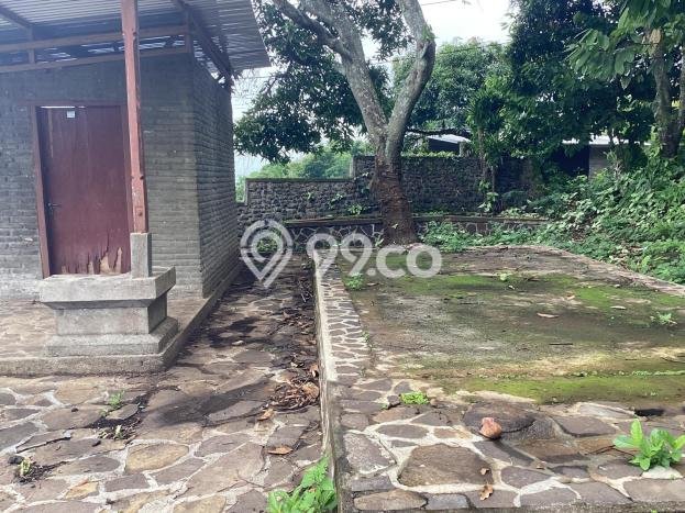 Tanah Kavling Dijual di Buleleng dengan Spesifikasi 1900m2 Tanah Kavling Dijual di Buleleng dengan Spesifikasi 1900m2