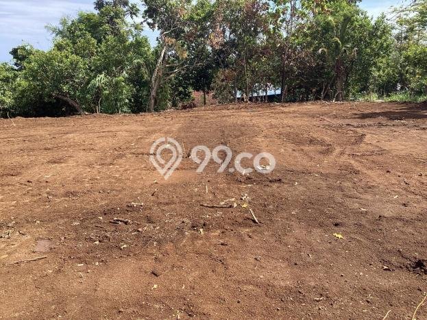 Tanah Dijual Area Strategis di Tigawasa Buleleng 5265m2 Tanah Dijual Area Strategis di Tigawasa Buleleng 5265m2