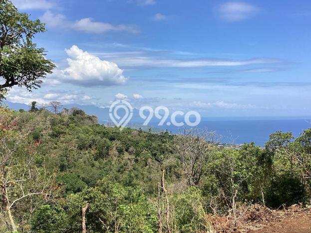 Tanah Dijual Area Strategis di Tigawasa Buleleng 5265m2 Tanah Dijual Area Strategis di Tigawasa Buleleng 5265m2