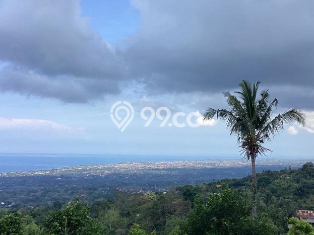 Dijual Tanah Lokasi Kayuputih, Buleleng Seluas 995m2 Dijual Tanah Lokasi Kayuputih, Buleleng Seluas 995m2