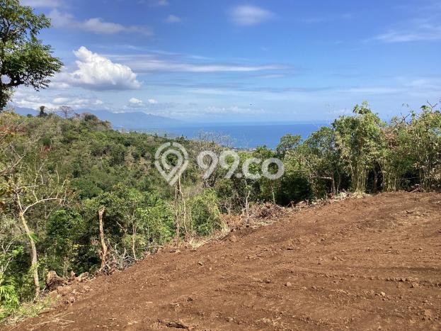 Tanah Dijual Area Strategis di Tigawasa Buleleng 5265m2 Tanah Dijual Area Strategis di Tigawasa Buleleng 5265m2